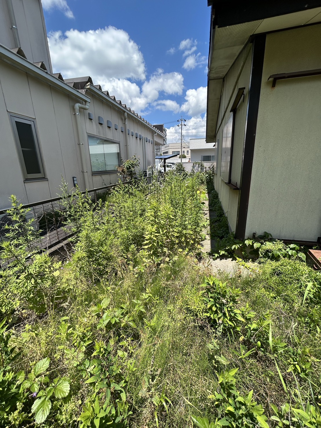 実績紹介　除草、整地、防草シート+砕石敷き　施工前